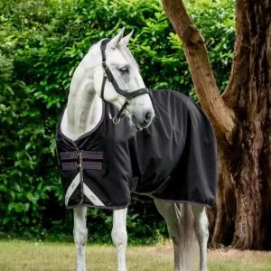 Ausverkauf Amigo Bravo 12 Original - Lite 0g | Excal/Plum & Silver | 115cm/ 5'6 | HOR0026.14